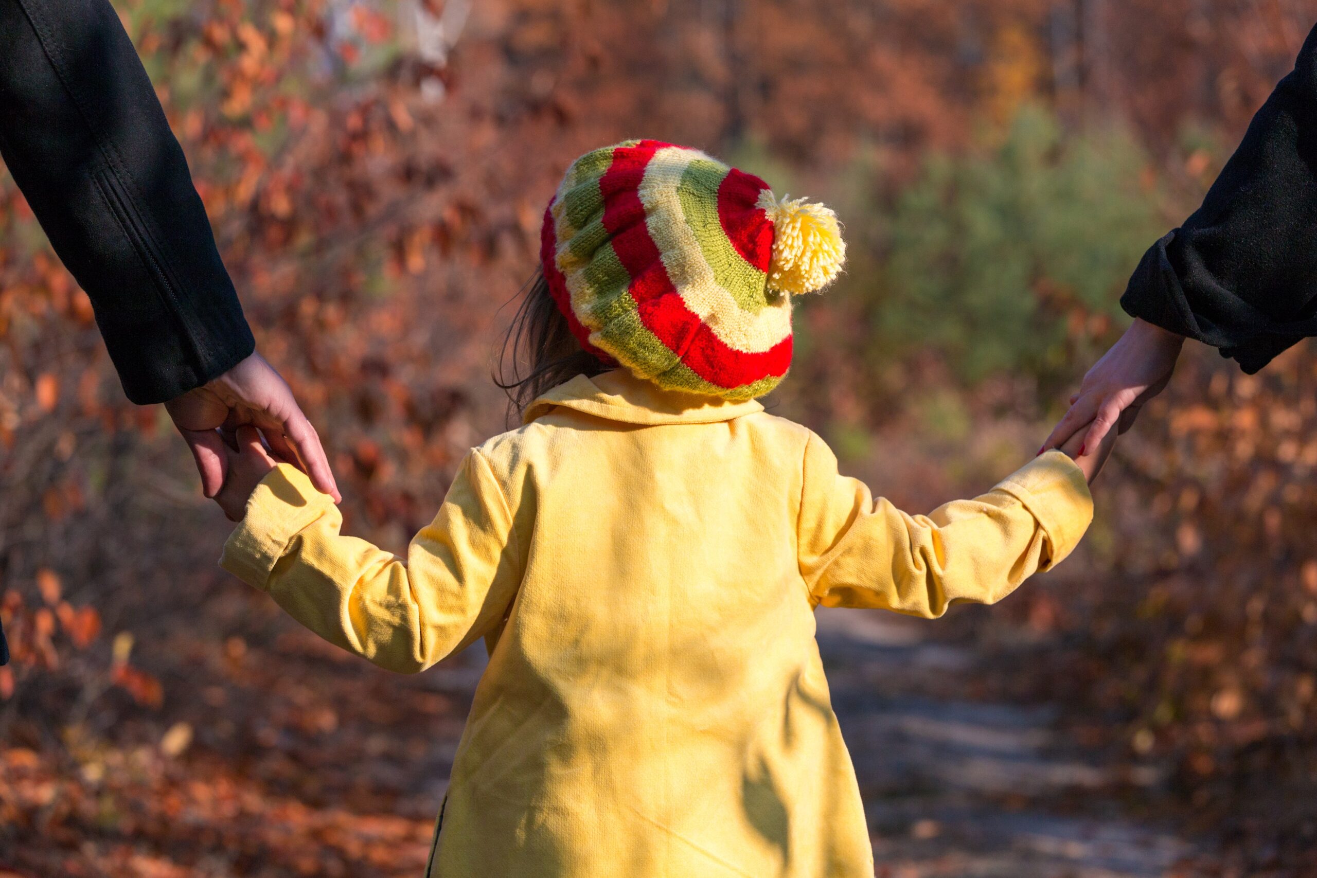 trust lawyer Illinois
